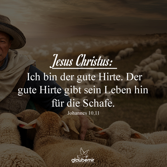 Jesus Christus: Ich bin der gute Hirte. Der gute Hirte gibt sein Leben hin für die Schafe. Johannes 10,11