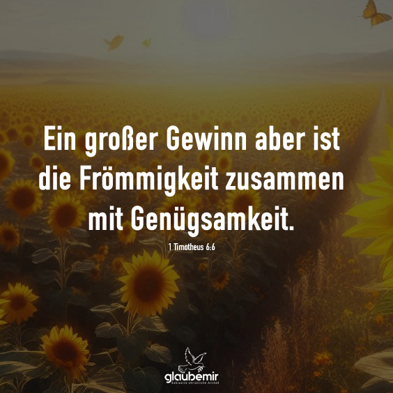 Ein großer Gewinn aber ist die Frömmigkeit zusammen mit Genügsamkeit. 1 Timotheus 6:6