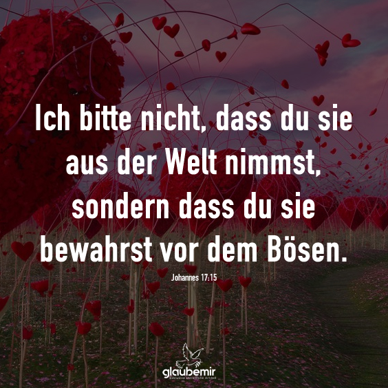 Ich bitte nicht, dass du sie aus der Welt nimmst, sondern dass du sie bewahrst vor dem Bösen. Johannes 17:15