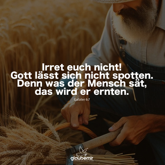 Irret euch nicht! Gott lässt sich nicht spotten. Denn was der Mensch sät, das wird er ernten. Galater 6:7