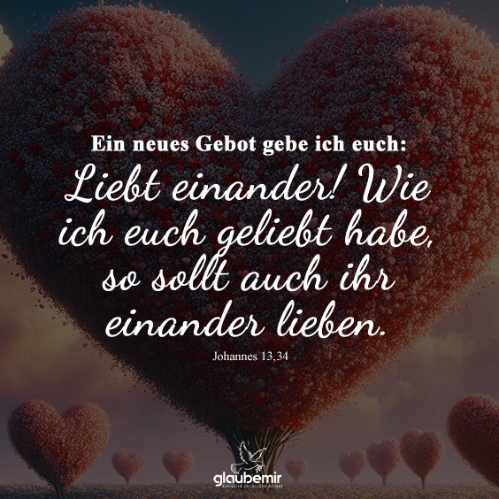 Liebt einander! Wie ich euch geliebt habe, so sollt auch ihr einander lieben. Johannes 13,34