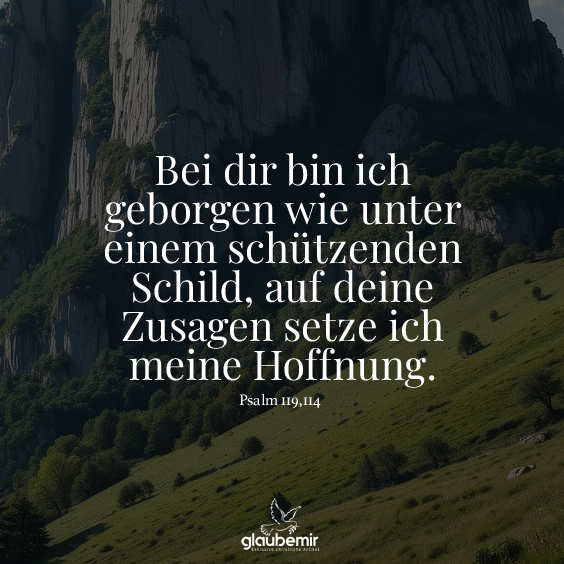 Bei dir bin ich geborgen wie unter einem schützenden Schild, auf deine Zusagen setze ich meine Hoffnung. Psalm 119,114
