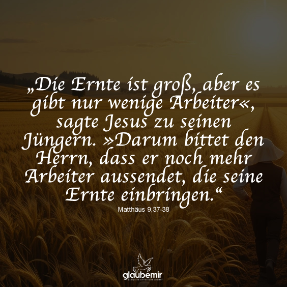 „Die Ernte ist groß, aber es gibt nur wenige Arbeiter«, sagte Jesus zu seinen Jüngern. »Darum bittet den Herrn, dass er noch mehr Arbeiter aussendet, die seine Ernte einbringen.“ Matthäus 9,37-38