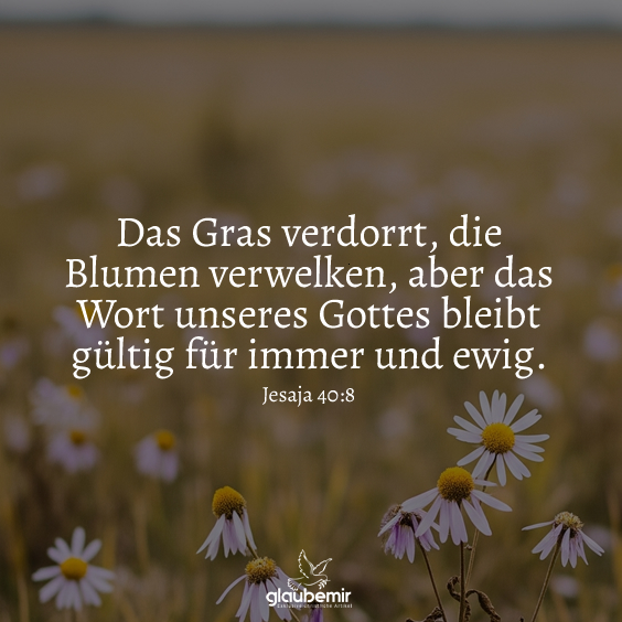 Das Gras verdorrt, die Blumen verwelken, aber das Wort unseres Gottes bleibt gültig für immer und ewig.