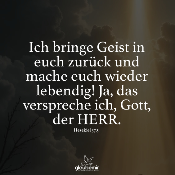 Ich bringe Geist in euch zurück und mache euch wieder lebendig! Ja, das verspreche ich, Gott, der HERR.